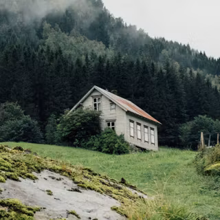Forest hut wallpaper