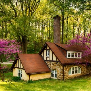 Forest hut wallpaper