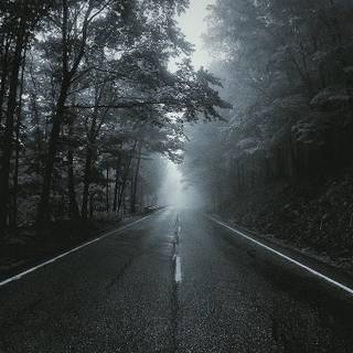 Black and white vertical wallpaper