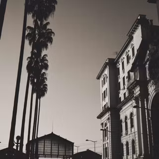 Black and white vertical wallpaper