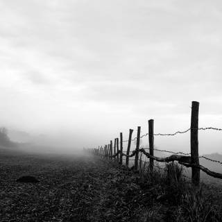 Black and white vertical wallpaper