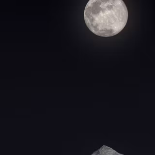 Black and white vertical wallpaper