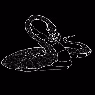 Black and white vertical wallpaper