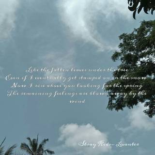 SKZ lyrics wallpaper