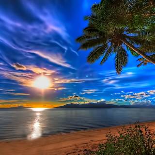 Nature in the ocean wallpaper