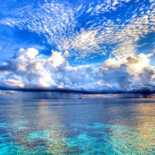 Nature in the ocean wallpaper