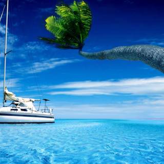 Nature in the ocean wallpaper