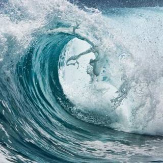 Nature in the ocean wallpaper