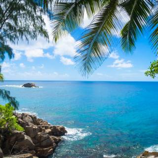 Nature in the ocean wallpaper