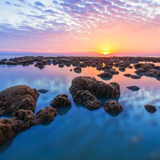 Nature in the ocean wallpaper