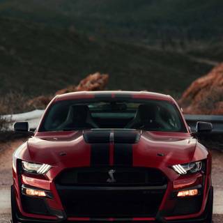 2020 Ford Mustang Shelby GT500 wallpaper