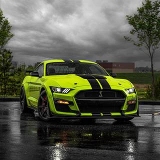 2020 Ford Mustang Shelby GT500 wallpaper