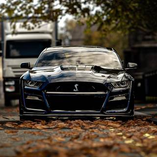 2020 Ford Mustang Shelby GT500 wallpaper