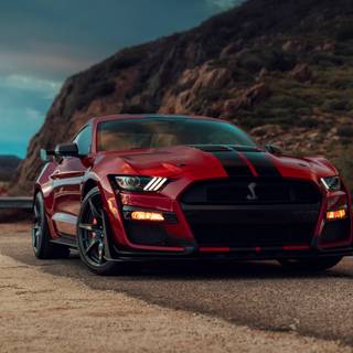 2020 Ford Mustang Shelby GT500 wallpaper