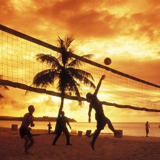 Beach volleyball wallpaper