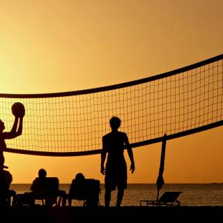Beach volleyball wallpaper