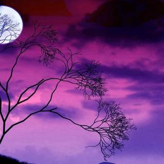 Purple night sky wallpaper