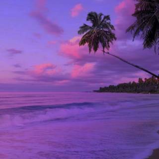 Summer beach purple wallpaper