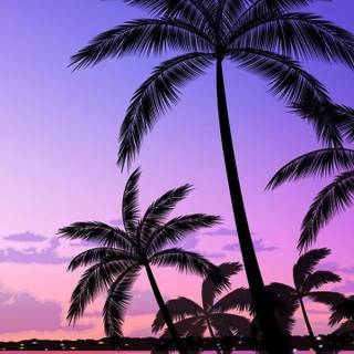 Summer beach purple wallpaper