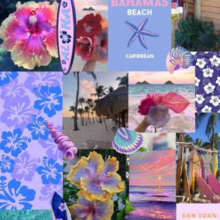 Summer beach purple wallpaper