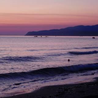 Summer beach purple wallpaper