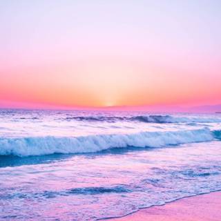 Summer beach purple wallpaper