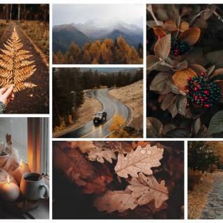 Autumnal inspiration wallpaper