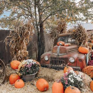 Autumnal inspiration wallpaper