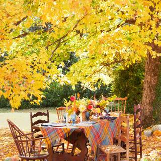 Autumnal inspiration wallpaper