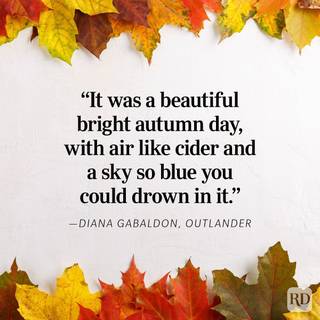 Autumnal inspiration wallpaper
