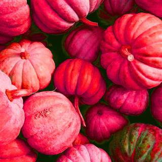 Pink autumn aesthetic wallpaper