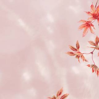Pink autumn aesthetic wallpaper