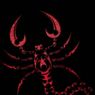 Scorpion animal wallpaper