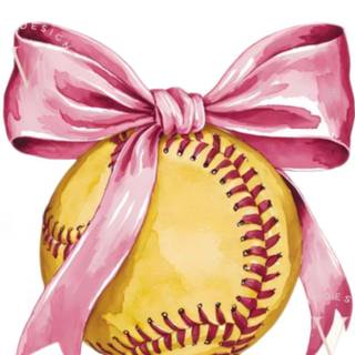 Softball and volleyball wallpaper