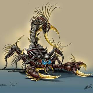 Scorpion animal wallpaper