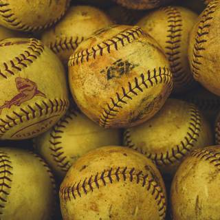 Softball and volleyball wallpaper