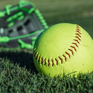 Softball and volleyball wallpaper