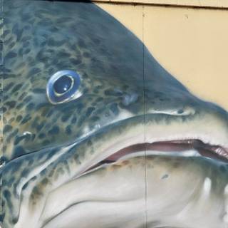 Murray cod wallpaper