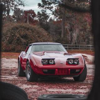 Vintage Corvette wallpaper