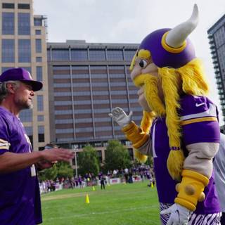 Minnesota Vikings mascot wallpaper