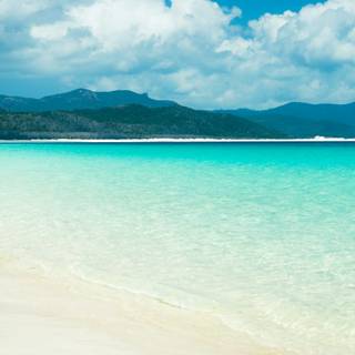 Whitehaven wallpaper