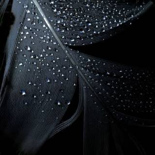 Dark classic wallpaper