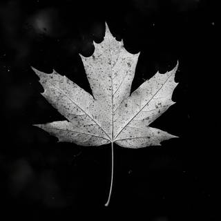 Dark classic wallpaper