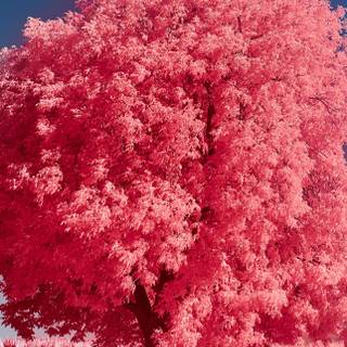 Depth Effect iPhone wallpaper