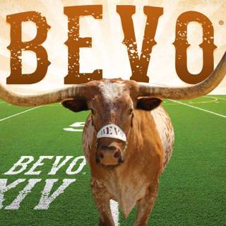 Texas longhorn wallpaper