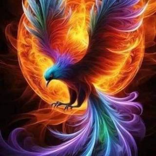 Rainbow Phoenix wallpaper