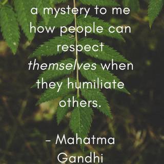 Embarrassed quotes wallpaper