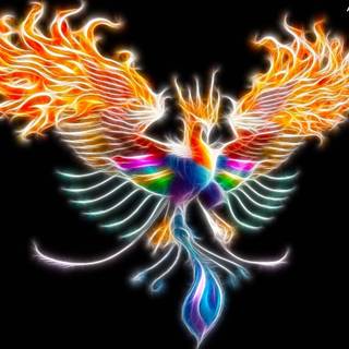 Rainbow Phoenix wallpaper