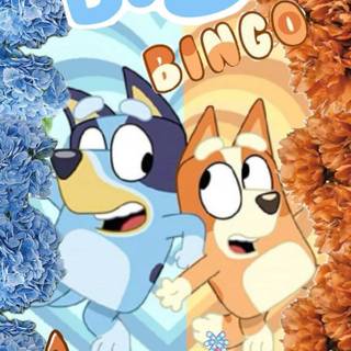 Bingo aesthetic Bluey wallpaper
