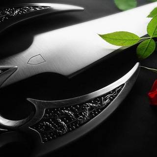 Black Dagger Brotherhood wallpaper